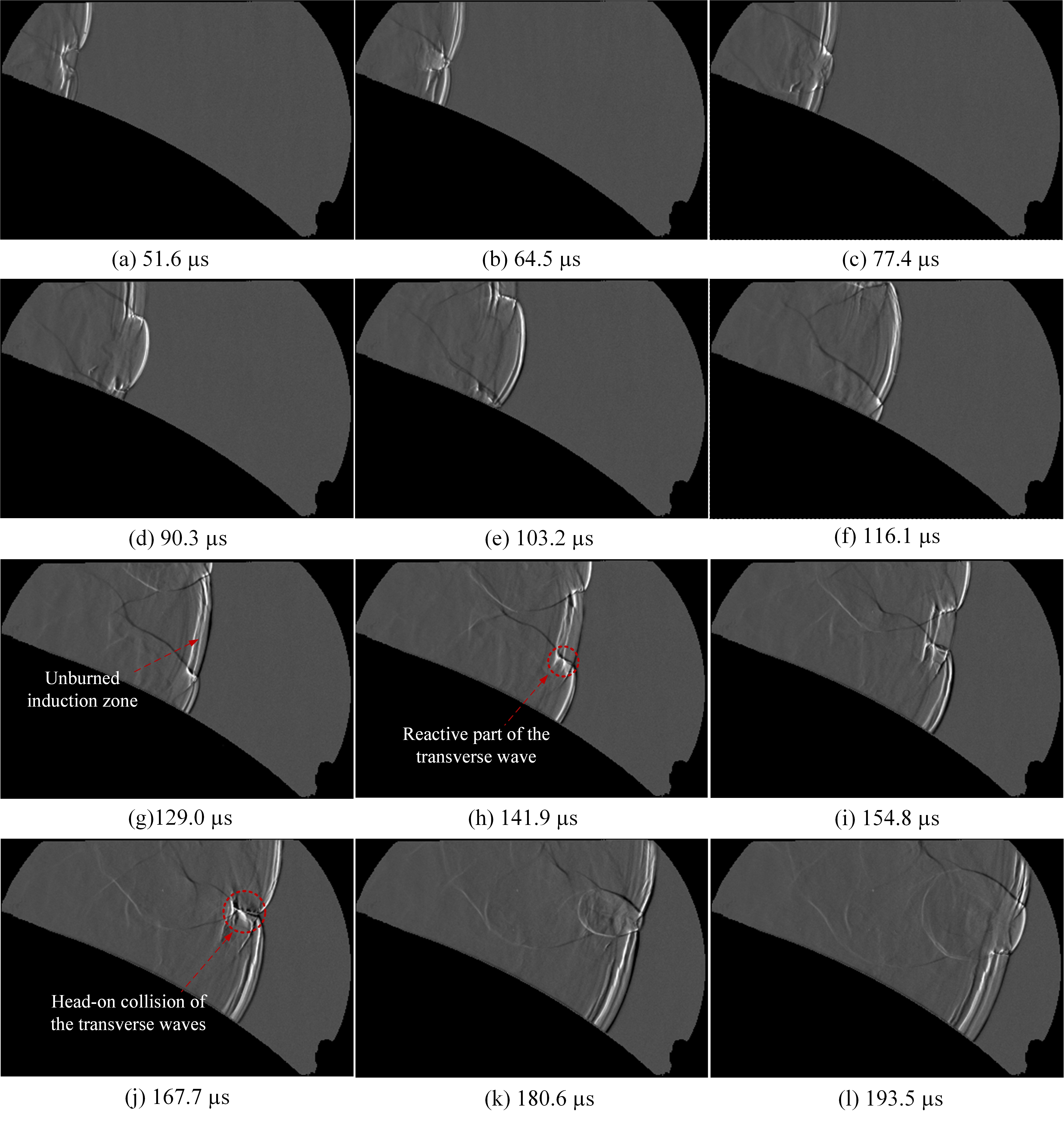 Figure 12
